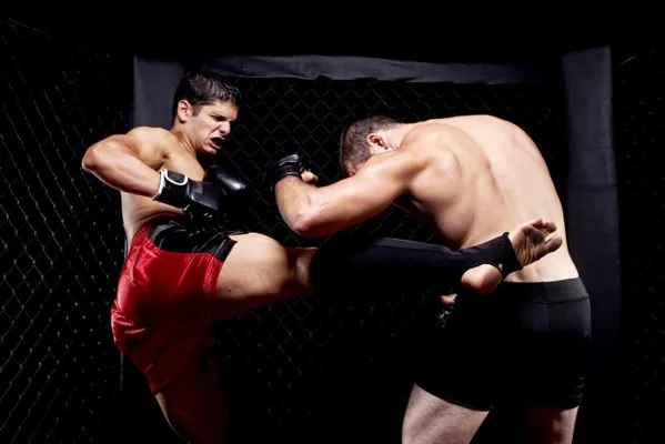 Teen & Adult MMA